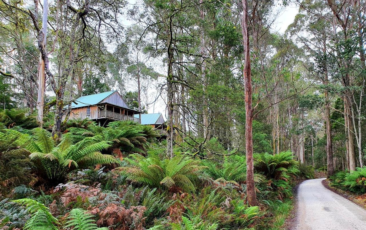 Lemonthyme Wilderness Retreat Hotel Moina Buitenkant foto
