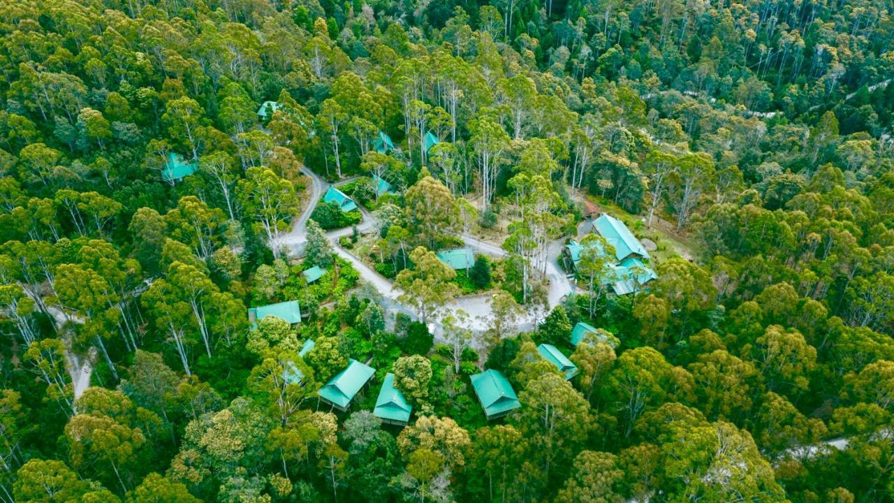 Lemonthyme Wilderness Retreat Hotel Moina Buitenkant foto